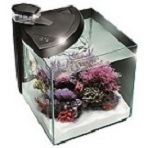 Nano Aquariums