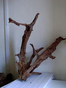 driftwood 1