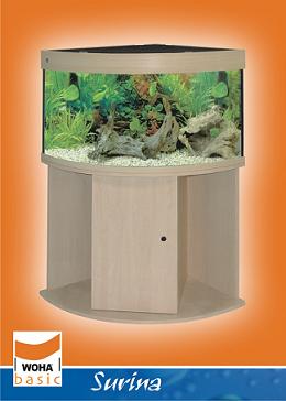 Woha aquariums surina
