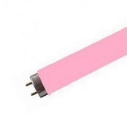 pink-fluorescent-tubes