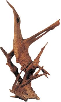 anp_natural driftwood 1.jpg