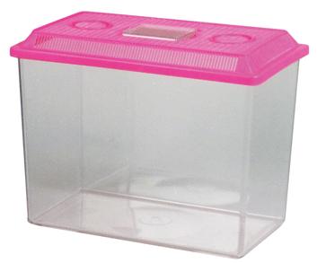 plastic aquarium