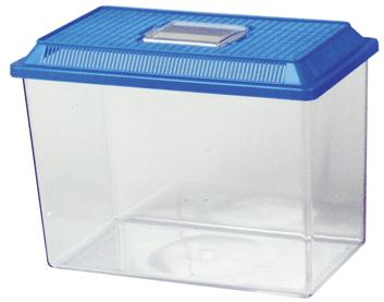 Plastic aquarium