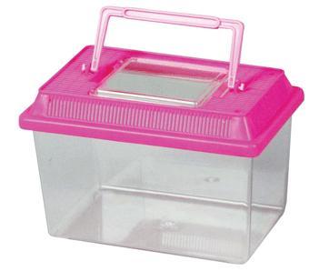 plastic aquarium