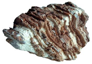 anp_stone shale.jpg