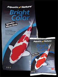 aq_bright color