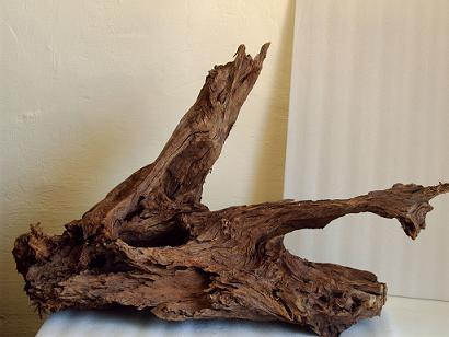 driftwood 7