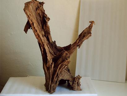 driftwood 8