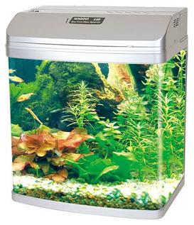 Bow Front Glass Aquarium Q-320