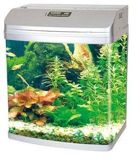 Bow Front Glass Aquarium Q-390