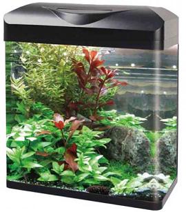 Curved Corner Glass Aquarium E300