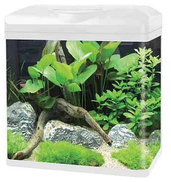 Curved Corner Glass Aquarium E380