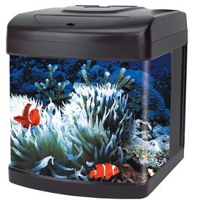 Bow Front Glass Aquarium kit-13 deluxe