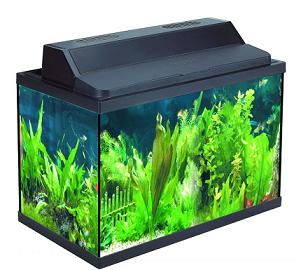 Rectangular Glass Aquarium X-520