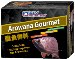 on_arowana_gourmet