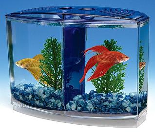 Double tank aquarium