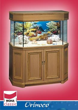 Woha aquariums orinoco