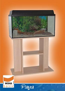 Woha aquariums paya