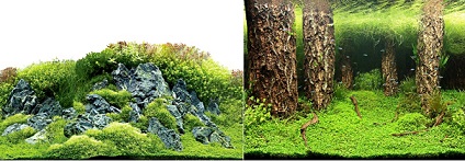 hobby-zuschnitt-scapers-hill-forest-60x30cm-31030