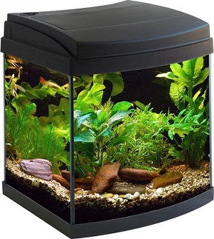 2acquariomilo30cubikRvisionnero300dpi