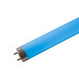 BLUE_TUBE_4