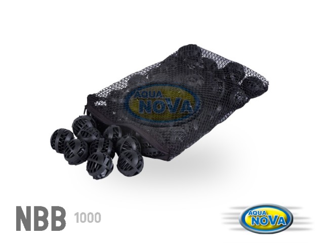 NBB1000